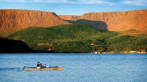 Mit dem Kajak durch Fjorde und Eisberge