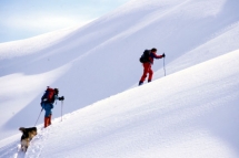 Ideale Bedingungen für Tourenliebhaber und Skibergsteiger, © Canadian Tourism Commission